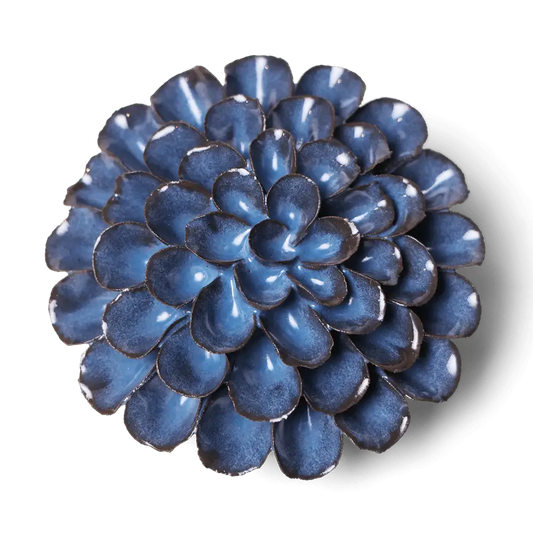 Blue Noir Pompon Dahlia Flower