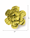 English Garden Chartreuse Primrose Ceramic Flower