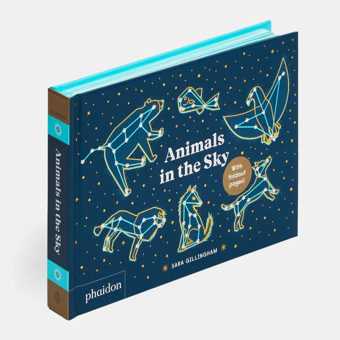 animals in the sky, animals, children's book, phaidon, publisher, constellations, space, stars, sky, astronomy
