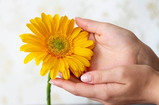 The Subtle Power of Perfume Oils: Why Less Is More