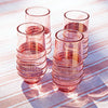 Large Acrylic Tumbler Set | Coral