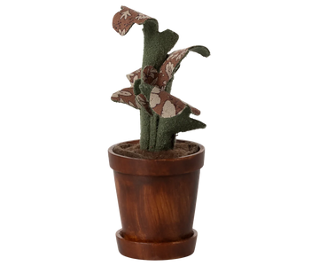 Flower Pot with Plant
