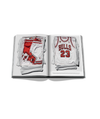 Air Jordan