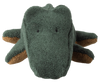 Friendly Gator