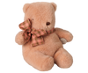 Mini Teddy Bear