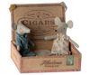 Mum and Dad Mice in Cigar Box