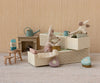 Tooth Fairy Mouse in Matchbox | Rose