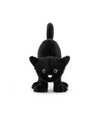 Spookipaws Cat