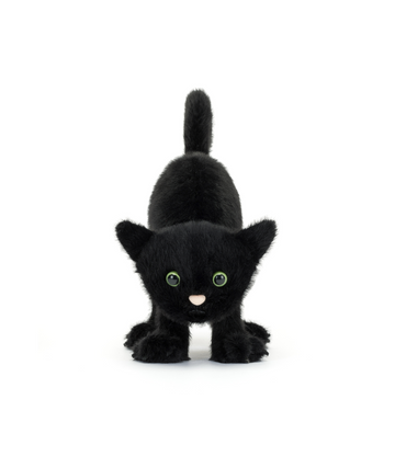 Spookipaws Cat