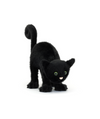 Spookipaws Cat