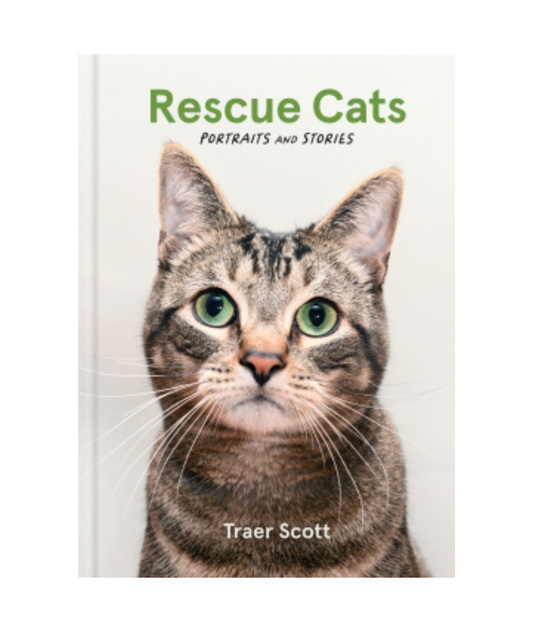 Rescue Cats: Portraits
