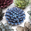 Blue Noir Pompon Dahlia Flower