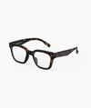 Tortoise #ROAD Readers
