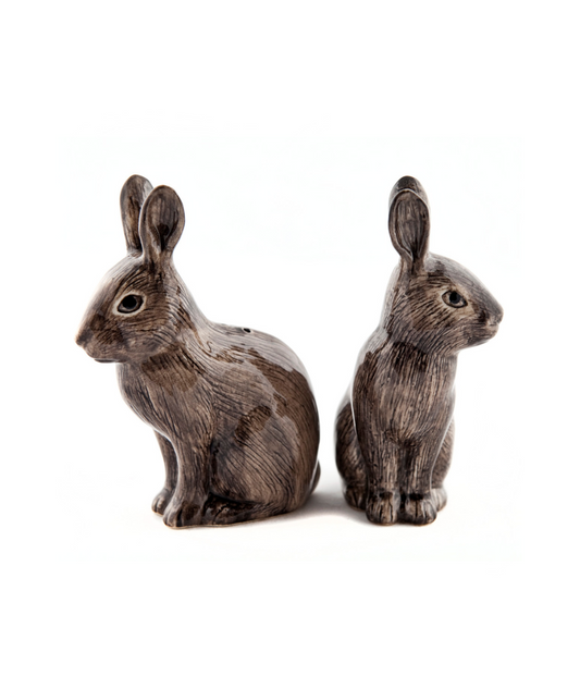 Wild Rabbit Salt and Pepper Shakers