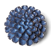 Blue Noir Pompon Dahlia Flower