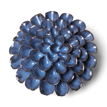 Blue Noir Pompon Dahlia Flower