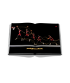 Air Jordan
