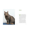 Rescue Cats: Portraits