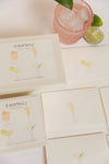 Cocktails Note Card Box