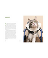Rescue Cats: Portraits