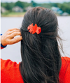 Red Shooting Star Small Flat Hair Clip