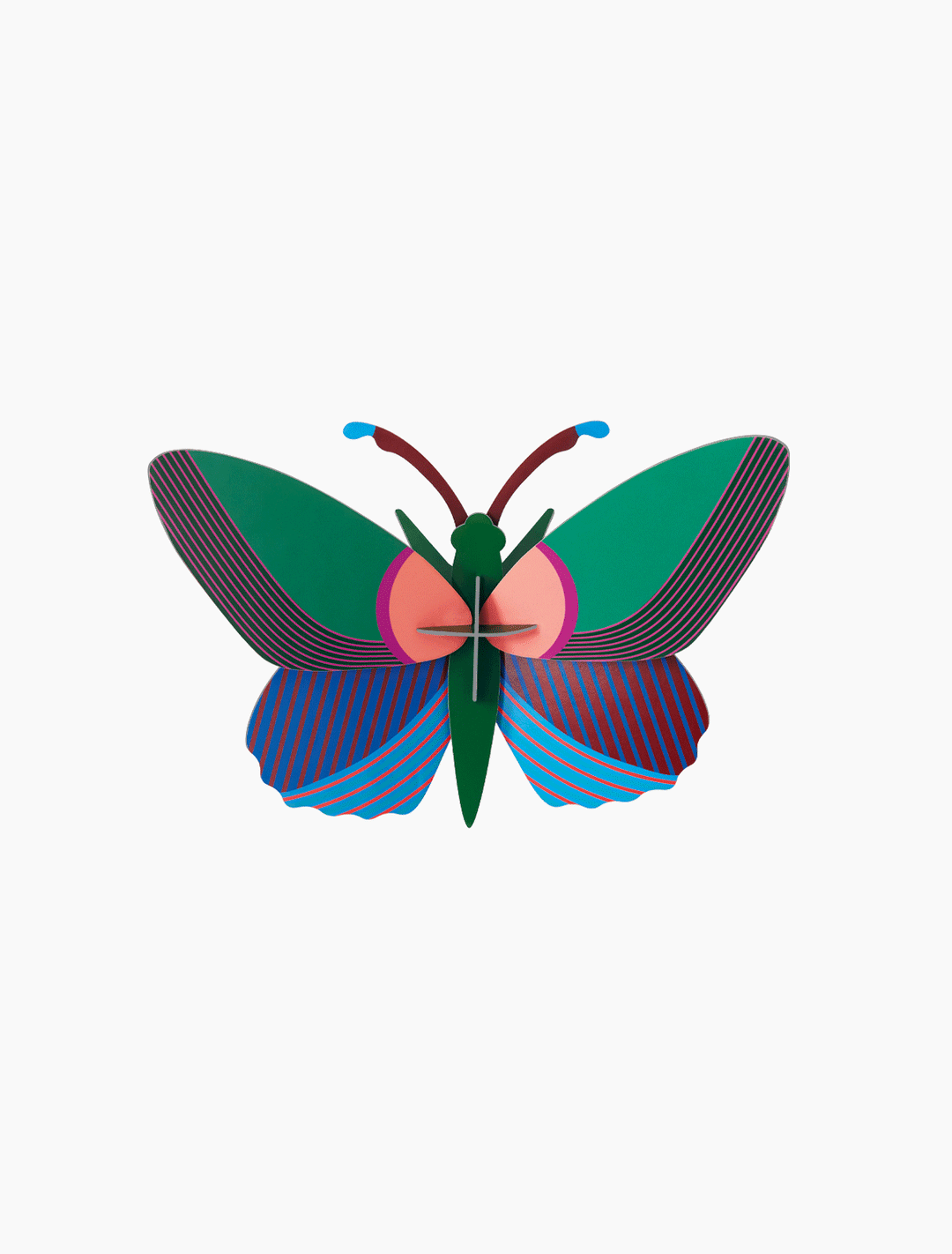 Acacia Butterfly | Medium