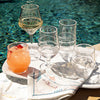 Acrylic Wine Glass