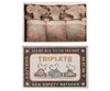 Baby Mice in Matchbox | Triplets