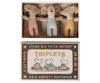 Baby Mice in Matchbox | Triplets