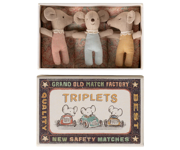 Baby Mice in Matchbox | Triplets