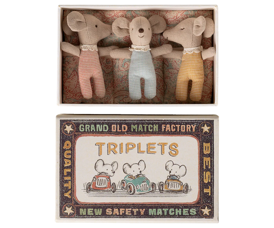 Baby Mice in Matchbox | Triplets
