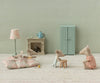 Baby Mice in Matchbox | Triplets