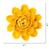 Burnt Yellow Empire Cabbage Flower