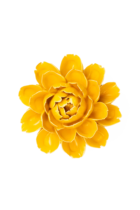 Burnt Yellow Empire Cabbage Flower