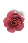 Blush Pink Elegance Ranunculus