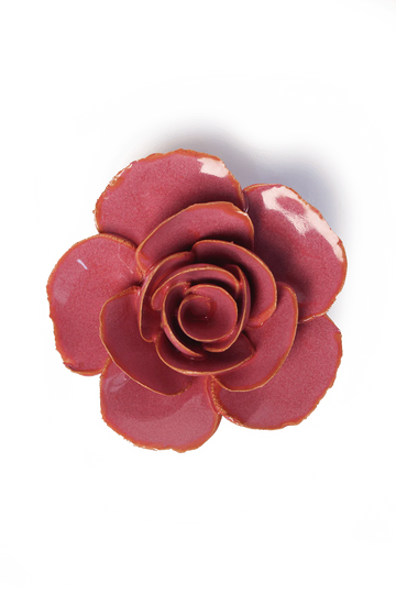 Blush Pink Elegance Ranunculus