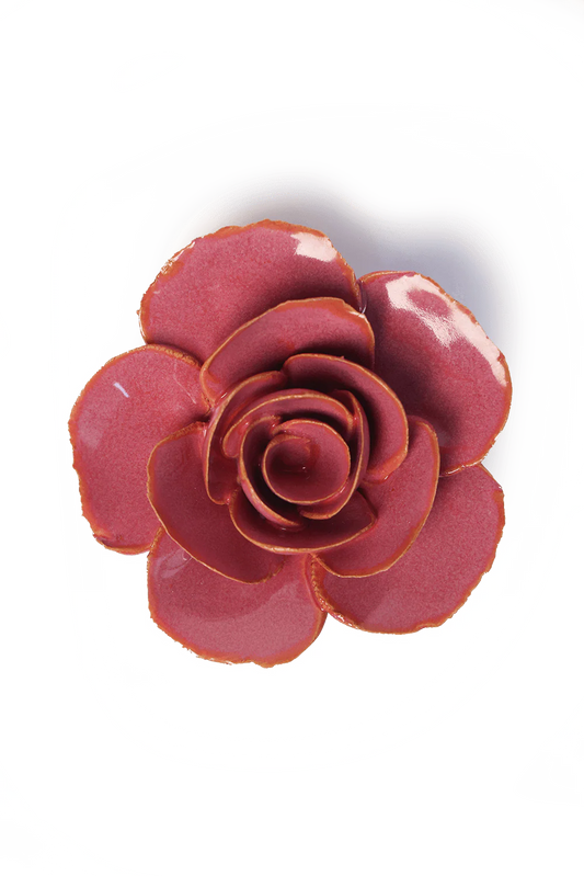 Blush Pink Elegance Ranunculus