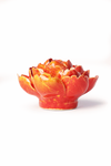 Orange Yellow Gay Paree Peony