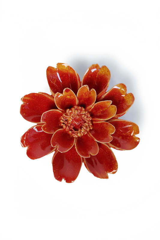 Orange Yellow Paris Daisy