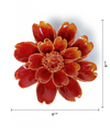 Orange Yellow Paris Daisy
