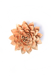 Peach Pink Madonna Azalea