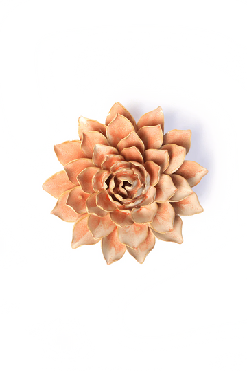 Peach Pink Madonna Azalea
