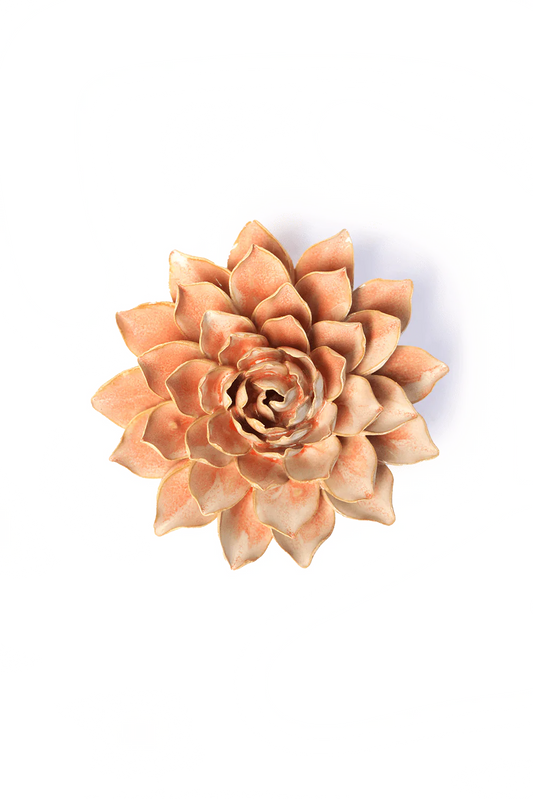 Peach Pink Madonna Azalea