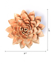 Peach Pink Madonna Azalea