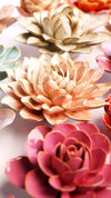 Peach Pink Madonna Azalea