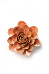 Peach Pink Begonia