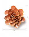 Peach Pink Begonia