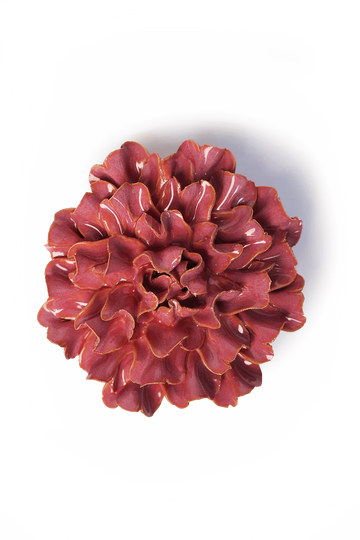 Blush Pink Tundra Carnation
