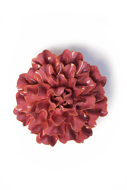 Blush Pink Tundra Carnation