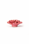 Blush Pink Tundra Carnation